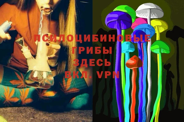 амфетамин Осинники