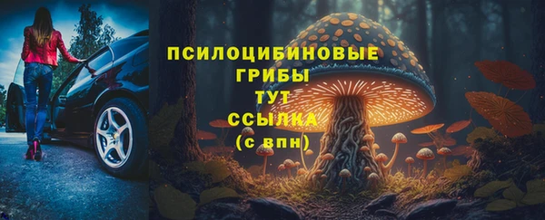 круглые Осташков
