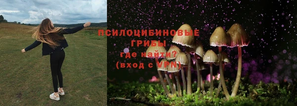 круглые Осташков